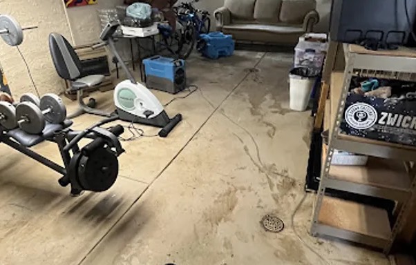 Museum Damage Restoration in Lakewood, WA