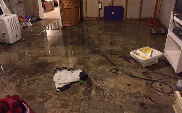 Emergency Damage Restoration in Orting, WA