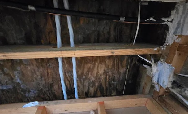 Wind Damage Repair in Lakewood, WA