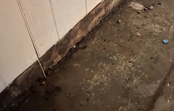 Medical Waste Disposal in Lakewood, WA